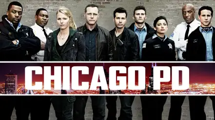 芝加哥警署 第一季