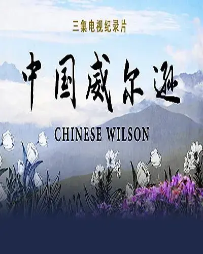 中国威尔逊